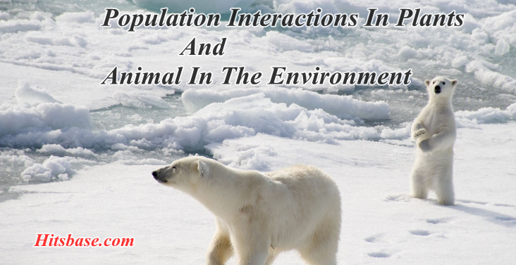 Population Interactions In Plants And Animal In The Environment