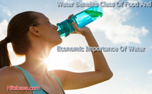 Water Benefits Class Of Food And Economic Importance Of Water