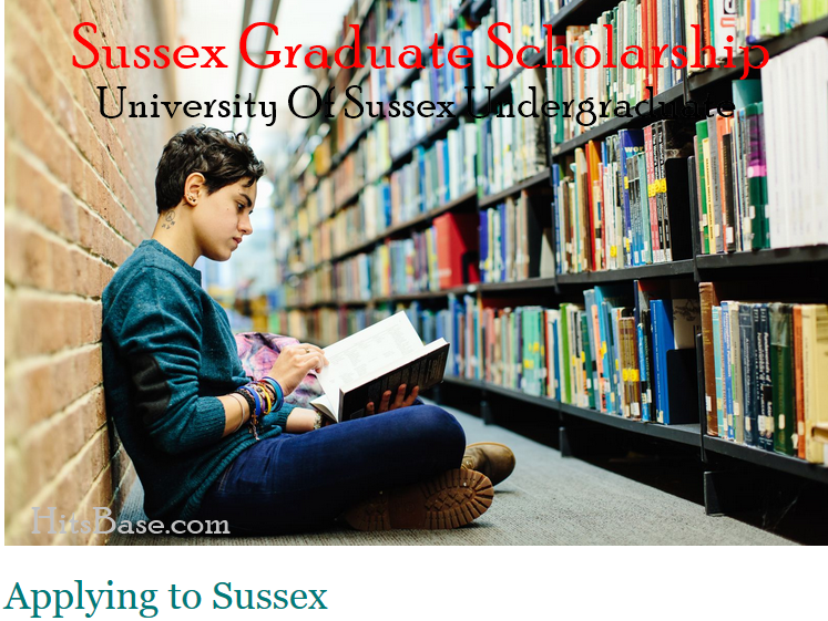 Sussex Graduate Scholarship 2019